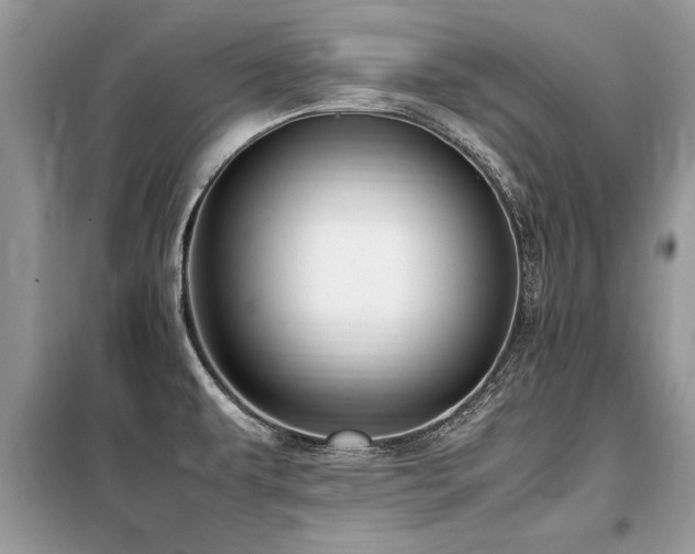 X0000099461479200805091517