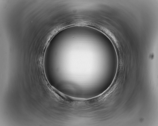 X0000099461481200805091517