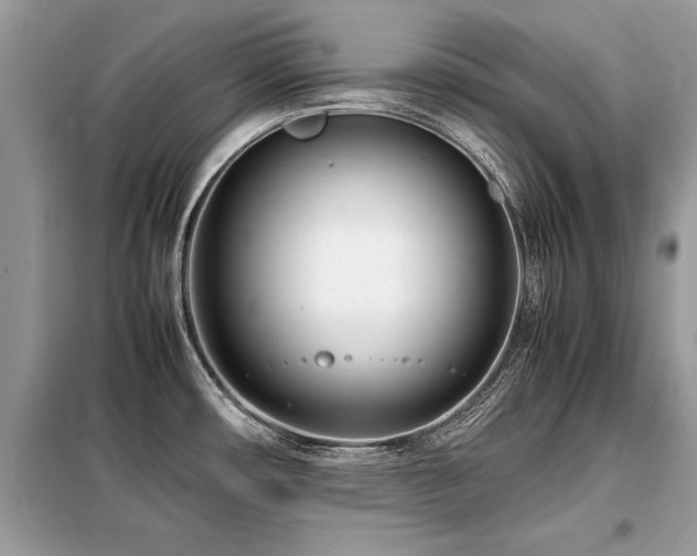 X0000099461482200805091517