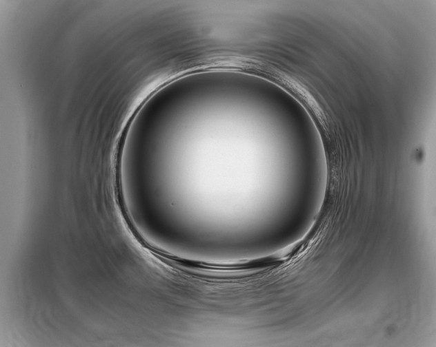 X0000099461483200805091517