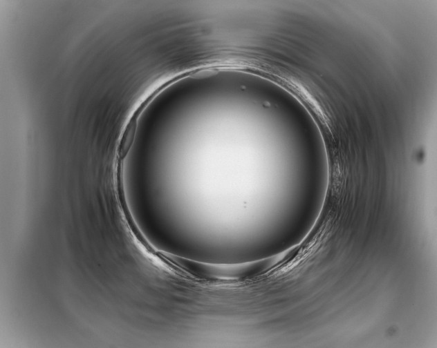 X0000099461484200805091517