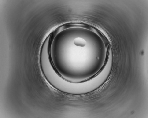 X0000099461485200805091517