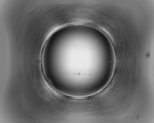 X0000099461487200805091517