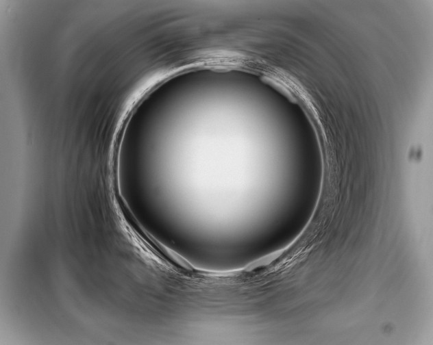 X0000099461488200805091517