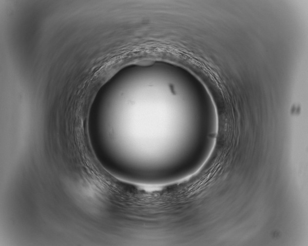 X0000099461489200805091516