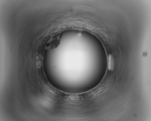 X0000099461491200805091516