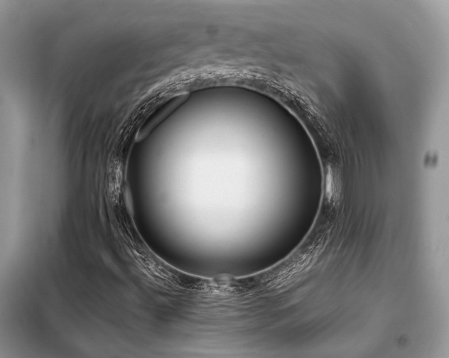 X0000099461492200805091516