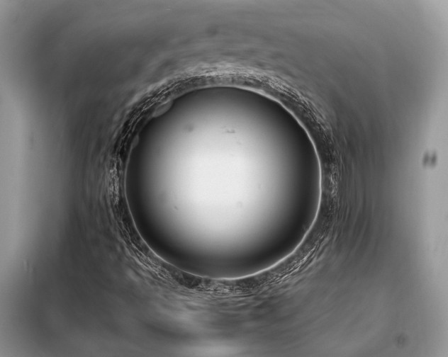 X0000099461493200805091516