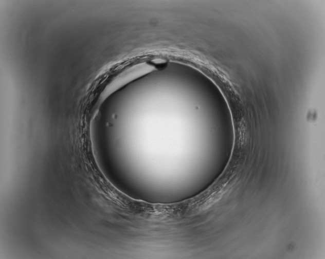 X0000099461494200805091516