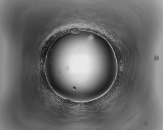 X0000099461495200805091516