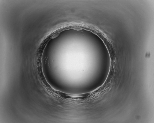X0000099461496200805091516