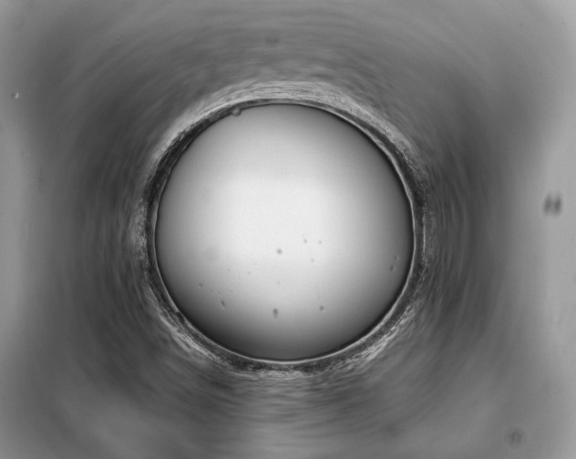 X0000099461498200805091516