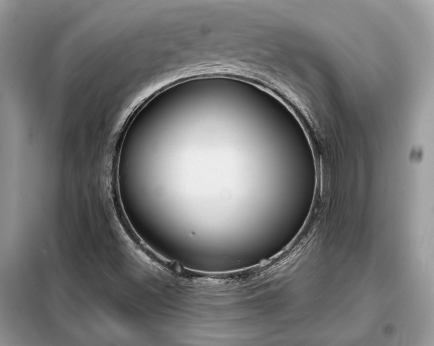 X0000099461500200805091516