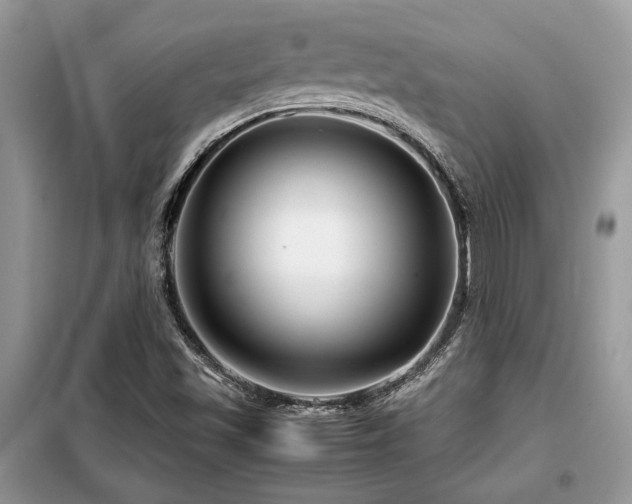 X0000099461501200805091516