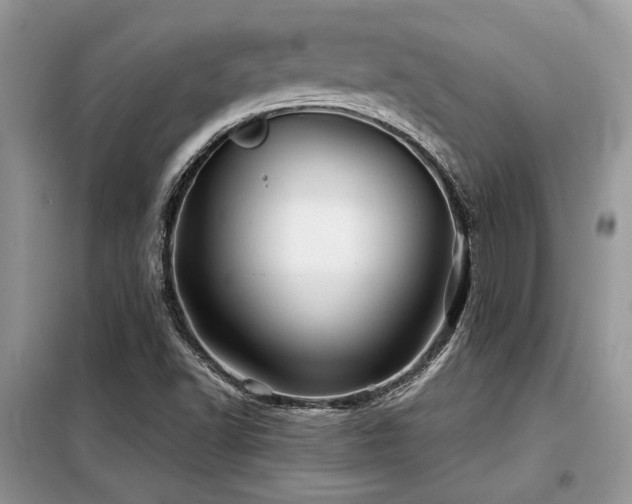 X0000099461502200805091516