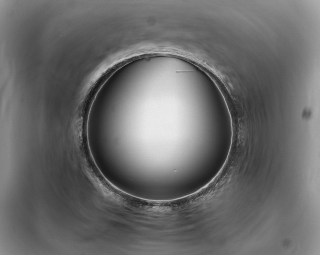 X0000099461503200805091516
