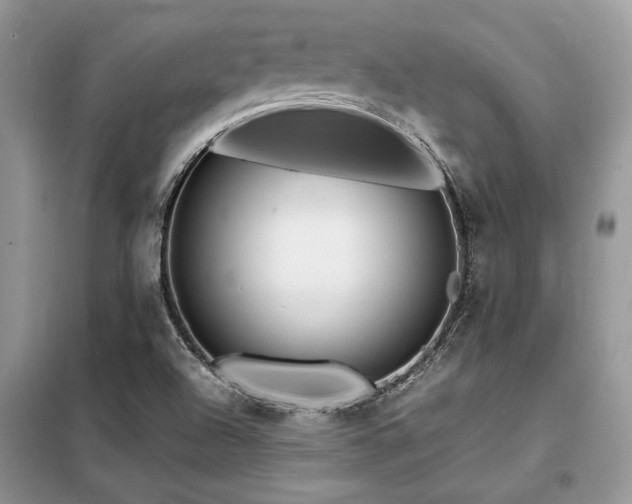 X0000099461504200805091516