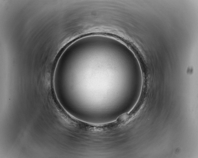 X0000099461505200805091516