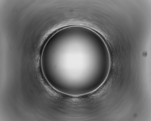 X0000099461507200805091516