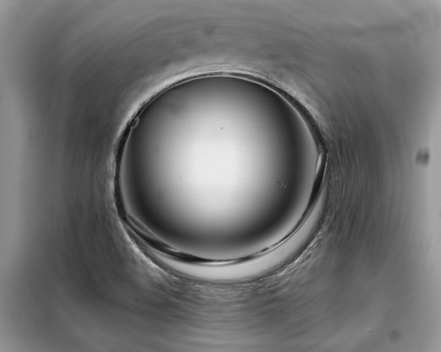 X0000099461508200805091516