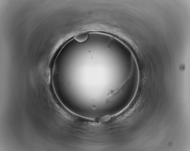 X0000099461509200805091516