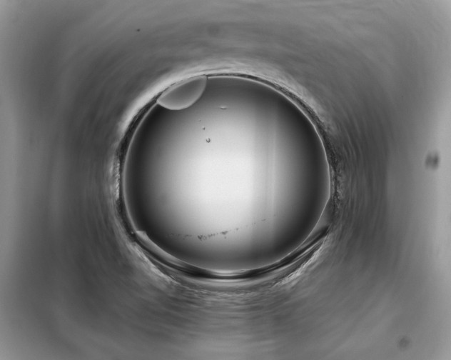 X0000099461510200805091516