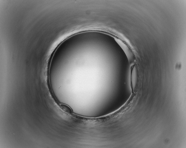 X0000099461512200805091516