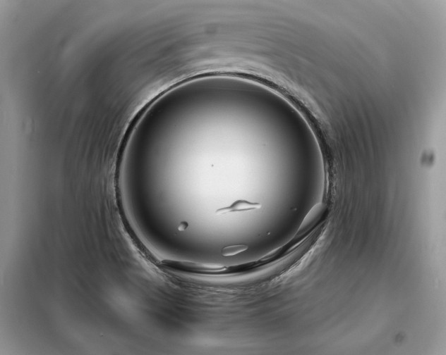 X0000099461513200805091516