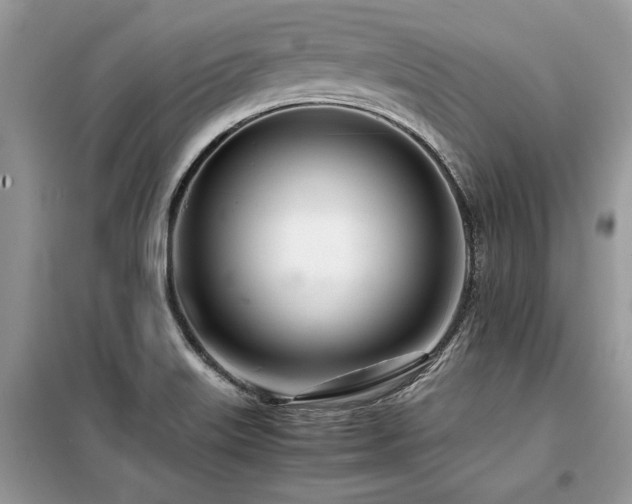 X0000099461515200805091516