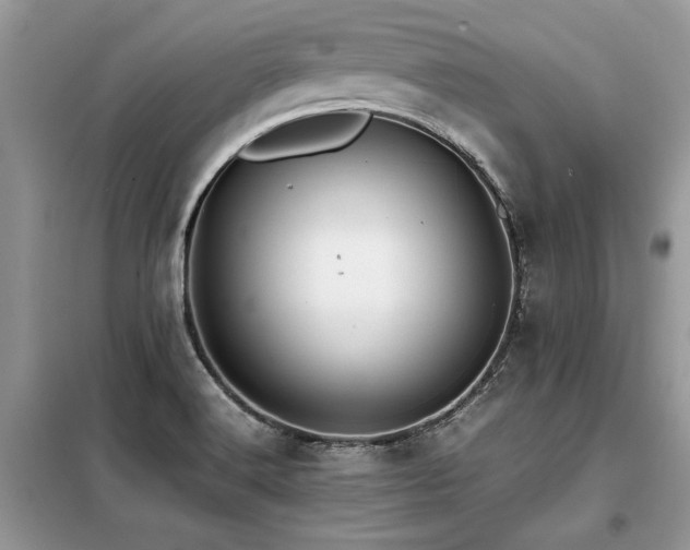 X0000099461516200805091516