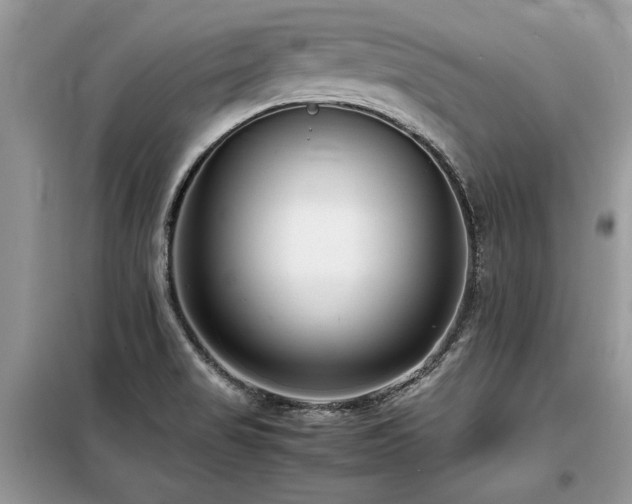 X0000099461517200805091516
