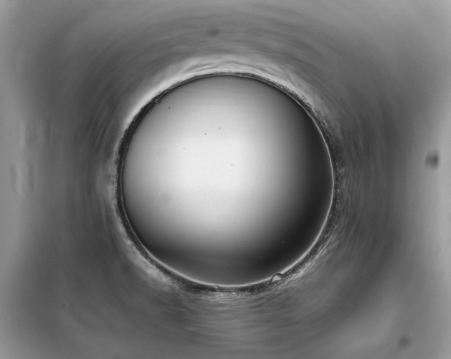 X0000099461518200805091516