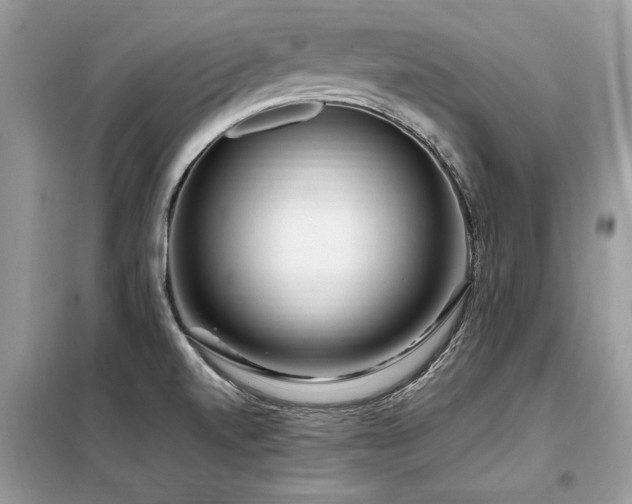 X0000099461520200805091516