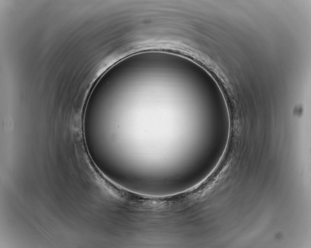 X0000099461521200805091516