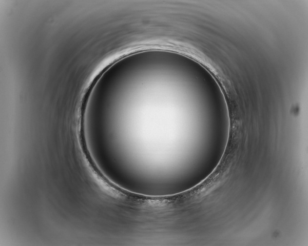X0000099461523200805091516