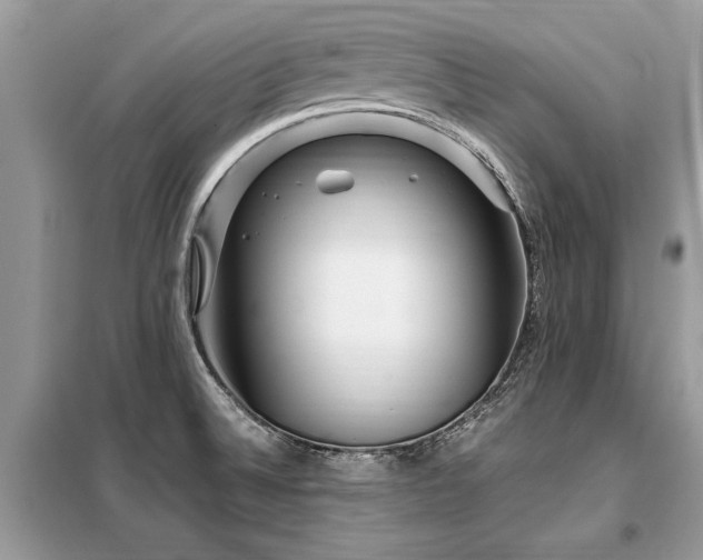 X0000099461524200805091516