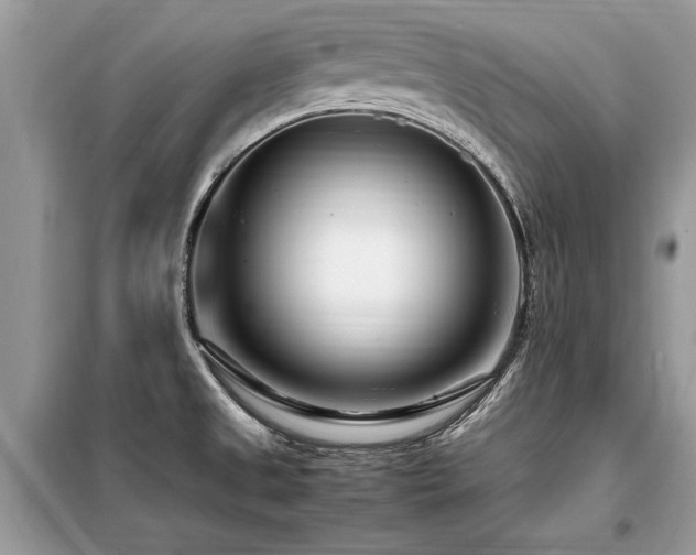 X0000099461525200805091516