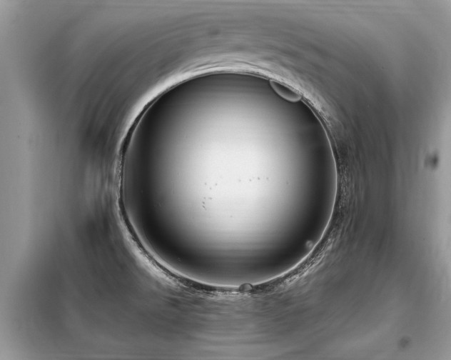 X0000099461526200805091516