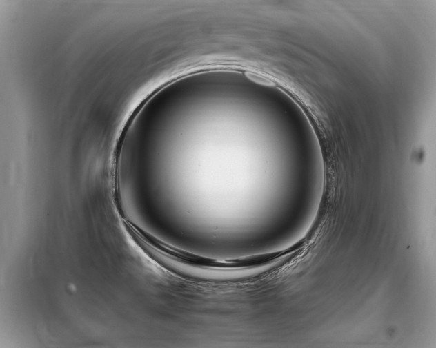 X0000099461527200805091516
