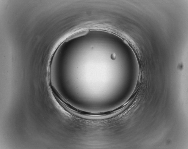 X0000099461528200805091516
