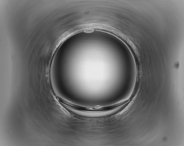 X0000099461529200805091516