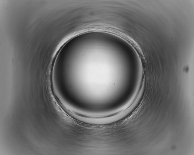 X0000099461530200805091516