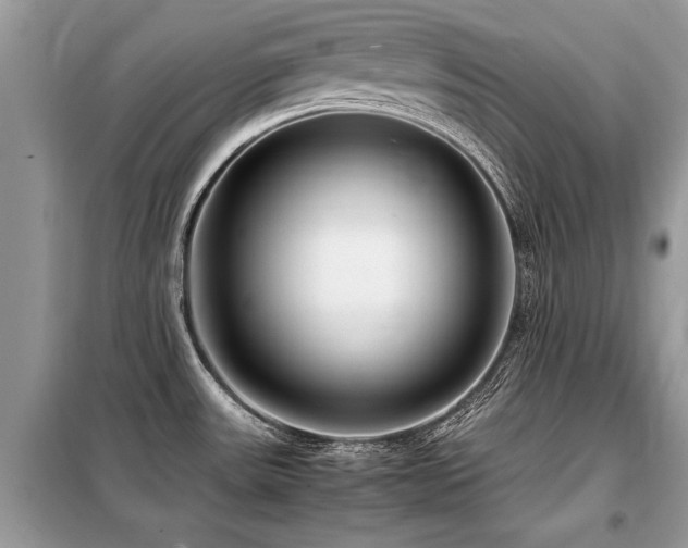X0000099461531200805091516