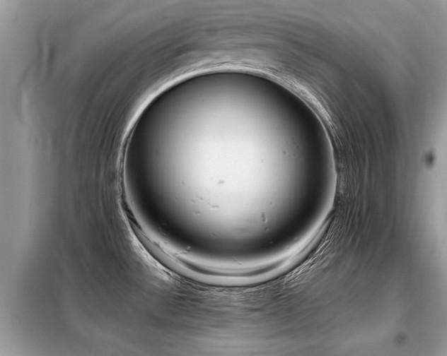 X0000099461532200805091516