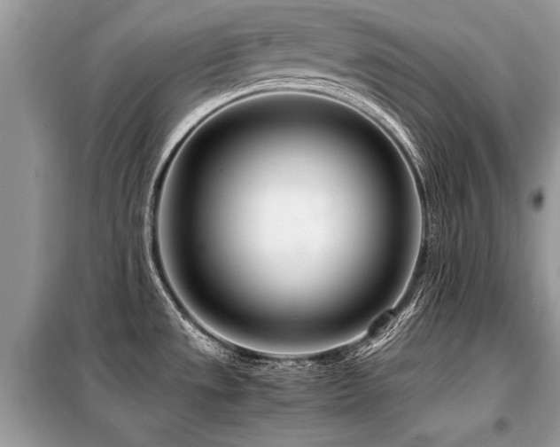 X0000099461533200805091516