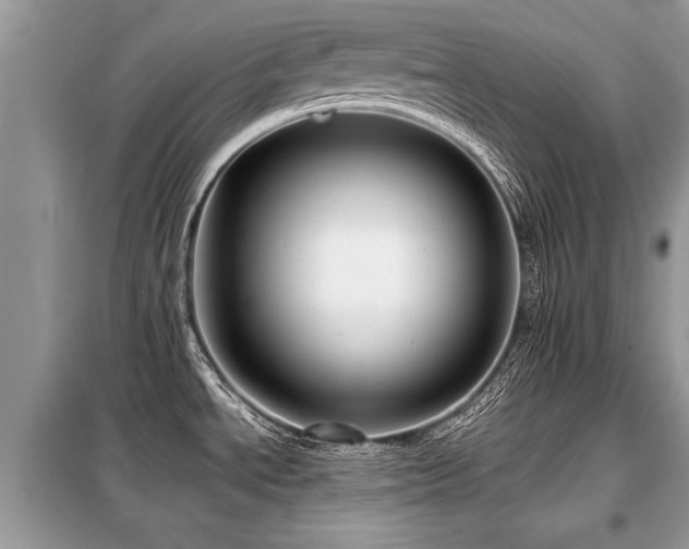 X0000099461534200805091516