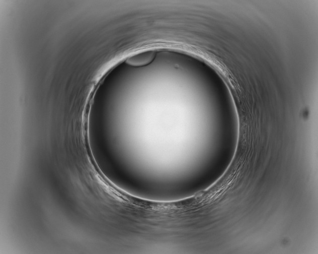 X0000099461535200805091516