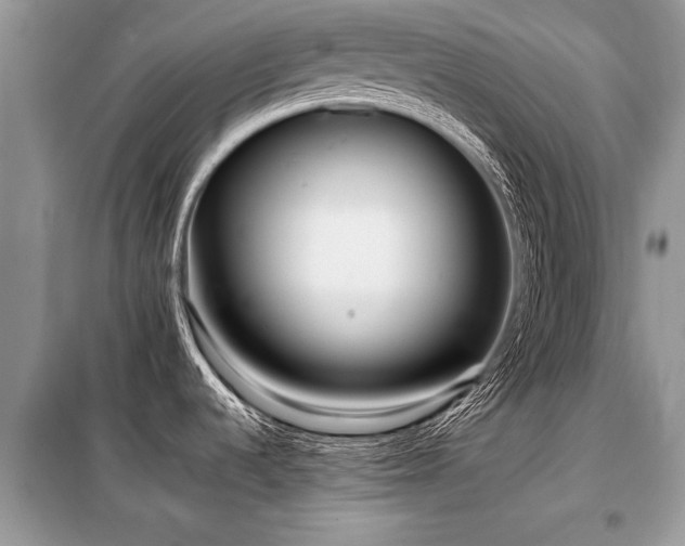 X0000099461536200805091517