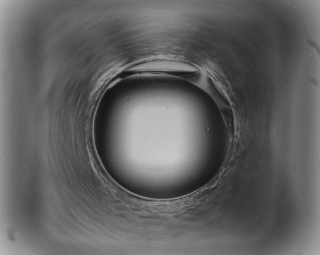 X0000099460001200805161058