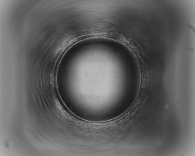 X0000099460002200805161058